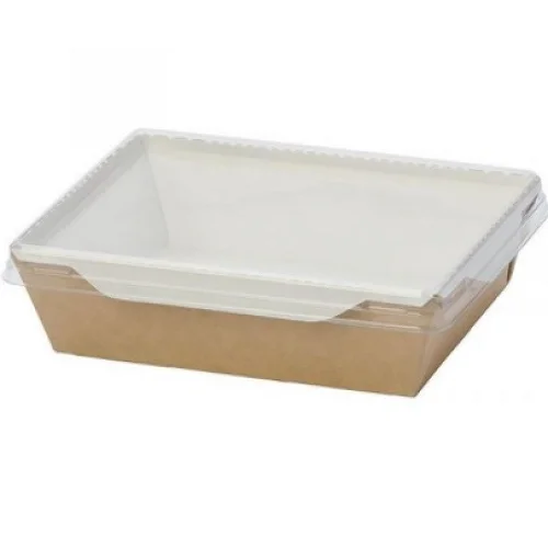 Контейнер прямоугольный с крышкой Geobox 500 мл 50 шт